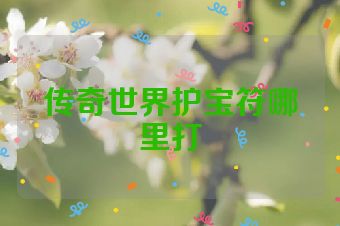 传奇世界护宝符哪里打