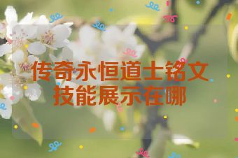 传奇永恒道士铭文技能展示在哪