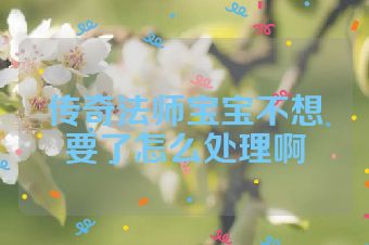 传奇法师宝宝不想要了怎么处理啊