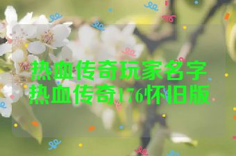 热血传奇玩家名字热血传奇176怀旧版