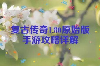 复古传奇1.80原始版手游攻略详解