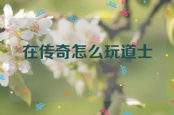 在传奇怎么玩道士
