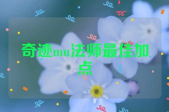 奇迹mu法师最佳加点