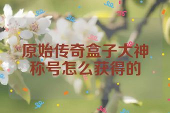 原始传奇盒子大神称号怎么获得的