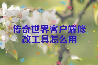 传奇世界客户端修改工具怎么用