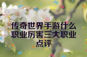 传奇世界手游什么职业厉害三大职业点评