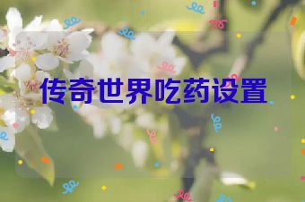 传奇世界吃药设置