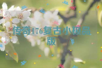传奇176复古小极品版