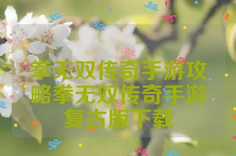 拳无双传奇手游攻略拳无双传奇手游复古版下载