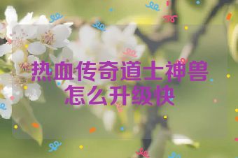 热血传奇道士神兽怎么升级快