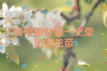 传奇霸业第一土豪法师龙帝