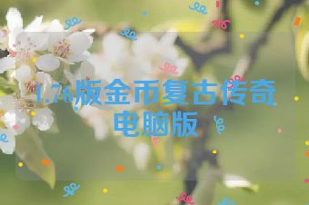1.76版金币复古传奇电脑版