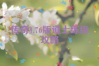 传奇1.76版道士练级攻略