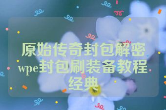 原始传奇封包解密wpe封包刷装备教程经典