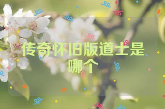 传奇怀旧版道士是哪个