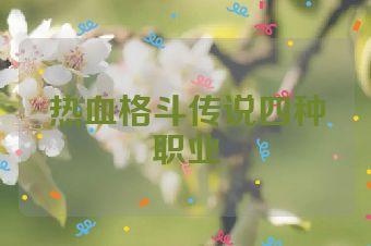 热血格斗传说四种职业