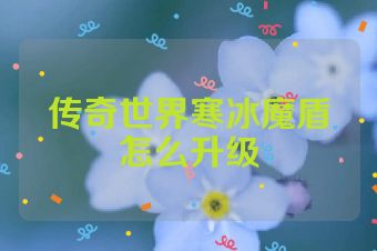 传奇世界寒冰魔盾怎么升级
