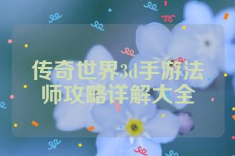 传奇世界3d手游法师攻略详解大全