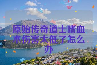 原始传奇道士嗜血术伤害太低了怎么办