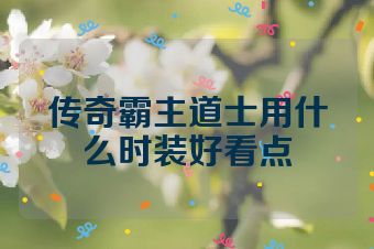 传奇霸主道士用什么时装好看点