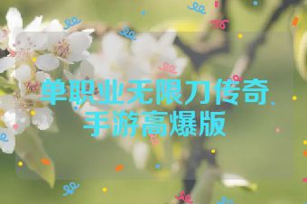 单职业无限刀传奇手游高爆版