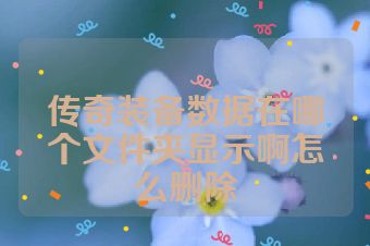 传奇装备数据在哪个文件夹显示啊怎么删除