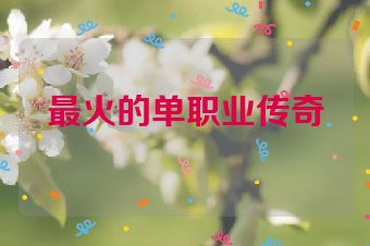 最火的单职业传奇