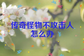 传奇怪物不攻击人怎么办