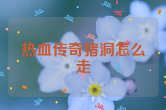 热血传奇猪洞怎么走