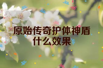 原始传奇护体神盾什么效果