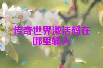 传奇世界激活码在哪里输入