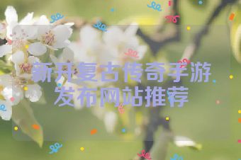 新开复古传奇手游发布网站推荐