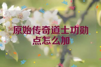 原始传奇道士功勋点怎么加