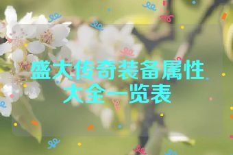 盛大传奇装备属性大全一览表