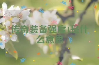 传奇装备强度1是什么意思