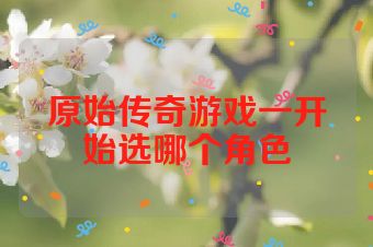 原始传奇游戏一开始选哪个角色