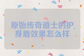原始传奇道士的护身盾效果怎么样