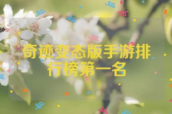 奇迹变态版手游排行榜第一名