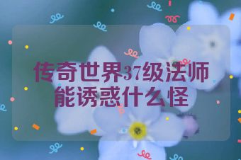 传奇世界37级法师能诱惑什么怪