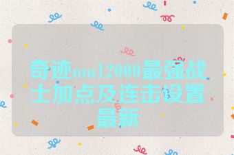 奇迹mu12000最强战士加点及连击设置最新