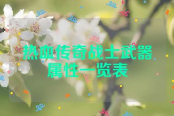 热血传奇战士武器属性一览表