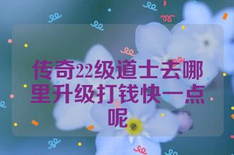 传奇22级道士去哪里升级打钱快一点呢