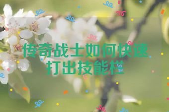 传奇战士如何快速打出技能栏