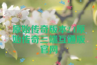 原始传奇版本2.1原始传奇三端互通版官网