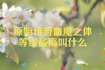 原始传奇血魔之体等级最高叫什么