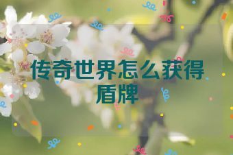 传奇世界怎么获得盾牌