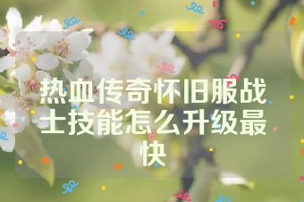 热血传奇怀旧服战士技能怎么升级最快