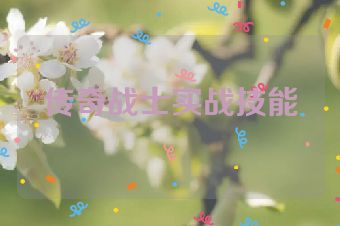 传奇战士实战技能