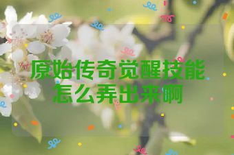 原始传奇觉醒技能怎么弄出来啊