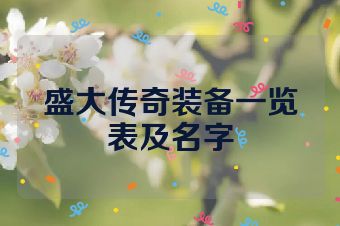 盛大传奇装备一览表及名字